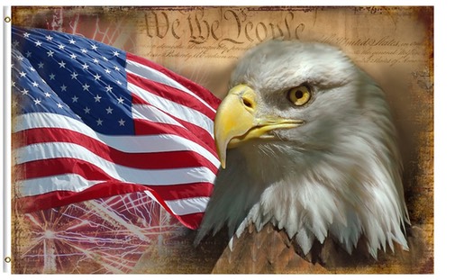 US Flag, Eagle, Preamble to Constitution.